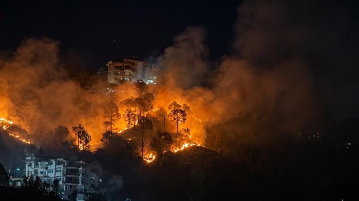1200 675 26784843 Thumbnail 16x9 Fire Aspera