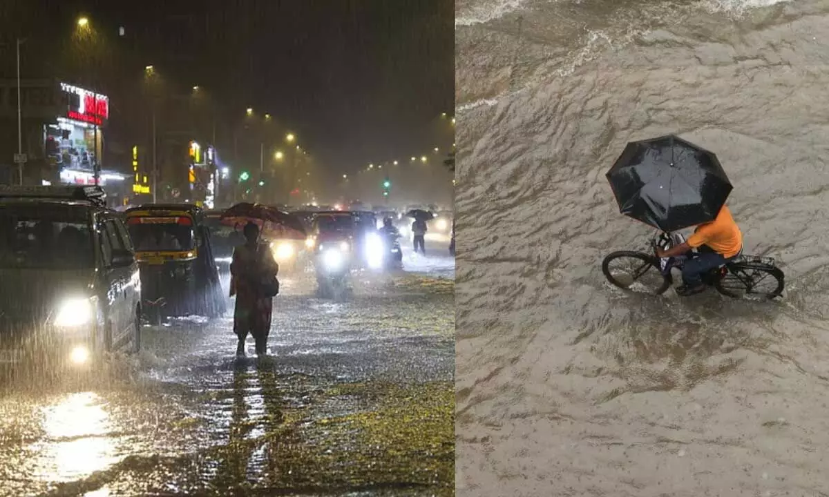 1675355 Monsoon